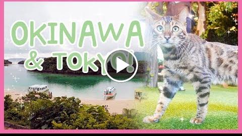 MY OKINAWA TRIP  Ishigaki & Tokyo P2~  Cece in Japan – ’17